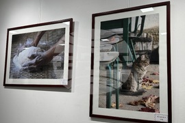 Казанлък - "На село" - изложба