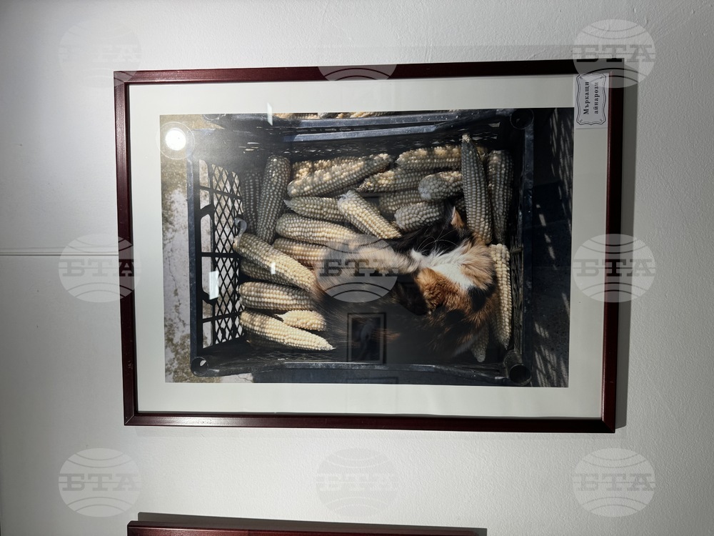 Казанлък - "На село" - изложба