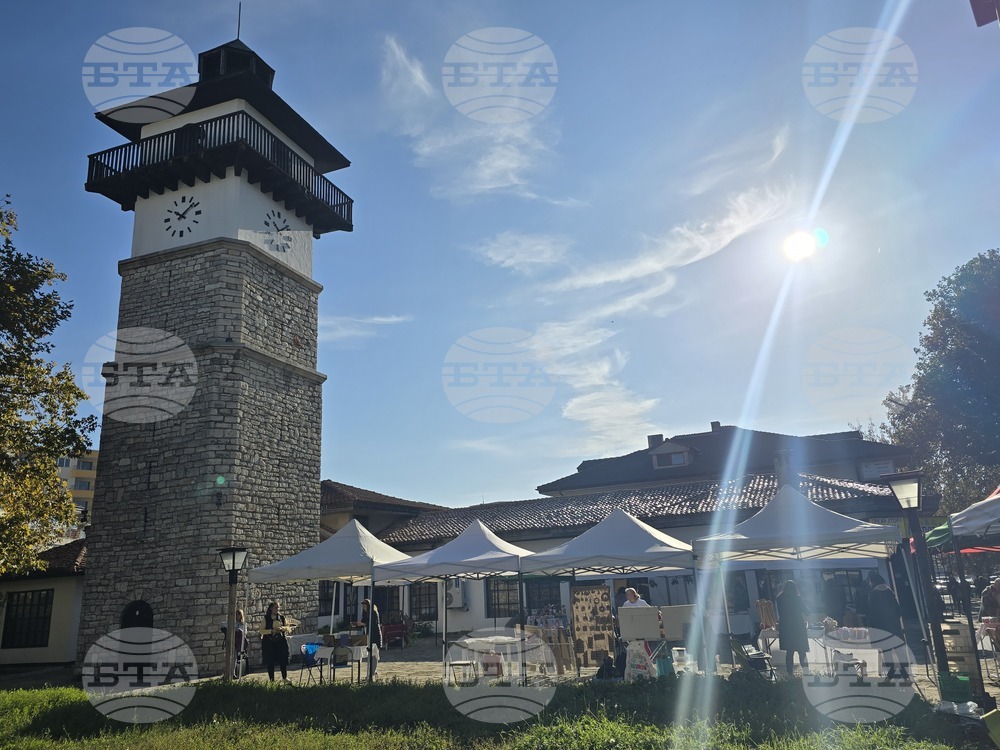 Общинският съвет в Добрич реши Регионалният исторически музей да управлява свободните имоти от Етнографския комплекс "Стария Добрич"