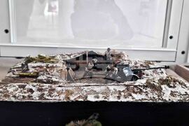 Исперих - музей - изложба