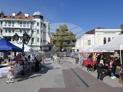 Снимка: Община Видин