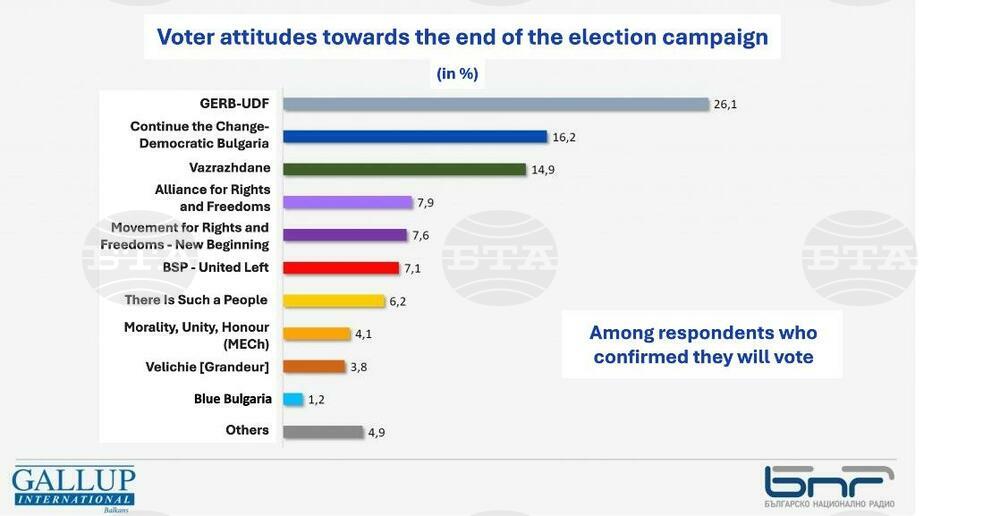 Voter Turnout for Parliamentary Elections Expected at 31.1% - Survey