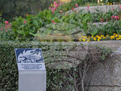 Снимка: Община Варна