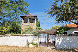 Село Подгорица - църква „Св. Димитър“ - иконостас