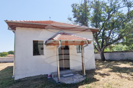 Село Подгорица - църква „Св. Димитър“ - иконостас