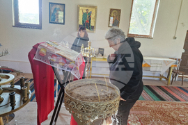 Село Подгорица - църква „Св. Димитър“ - иконостас