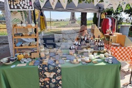 Видин - „На есенен базар сме! Пред театъра“ - инициатива