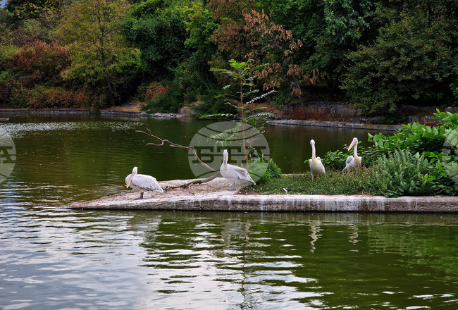 Зоологическа градина - София