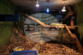 Зоологическа градина - София