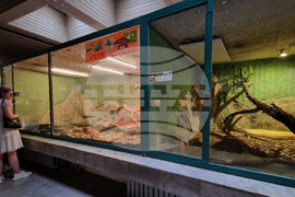 Зоологическа градина - София