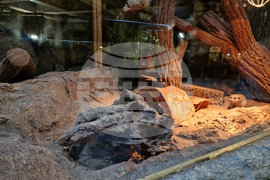 Зоологическа градина - София