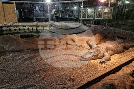 Зоологическа градина - София