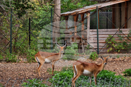 Зоологическа градина - София