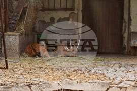 Зоологическа градина - София