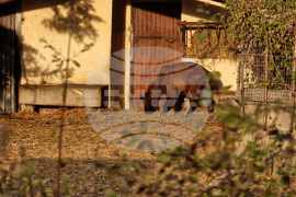 Зоологическа градина - София