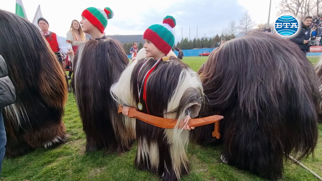 За деветнадесети път стадионът в Симитли бе изпълнен с пъстротата и колорита на сурвакарски групи от различни краища на България