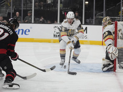 Senators Golden Knights Hockey
