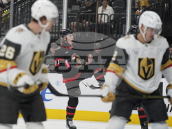 Senators Golden Knights Hockey