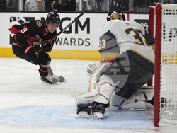 Senators Golden Knights Hockey