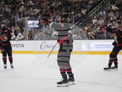 Senators Golden Knights Hockey