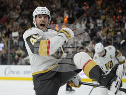 Senators Golden Knights Hockey