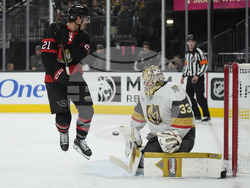 Senators Golden Knights Hockey