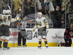 Senators Golden Knights Hockey
