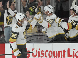 Senators Golden Knights Hockey