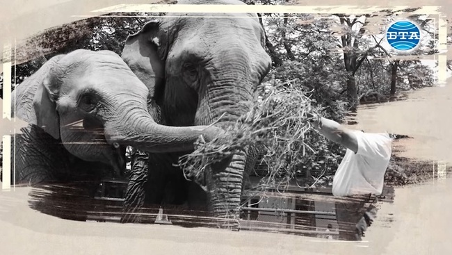 Вече е отживелица зоопарковете да бъдат само атракциони, каза директорът на софийския зоопарк Добромир Бориславов