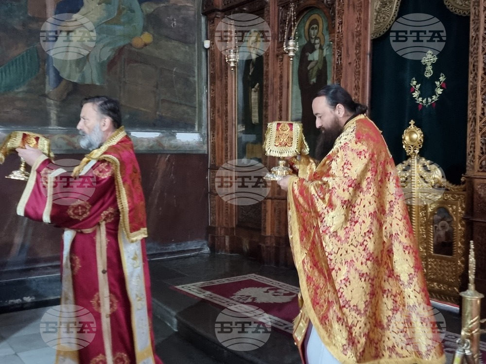 Видин - Патриаршеска Света литургия