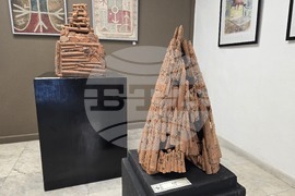 Плевен - Николай Гърков - изложба 