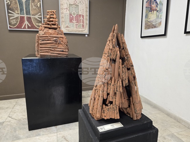 Плевен - Николай Гърков - изложба 