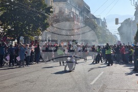 МВР - протест - „Ден на справедливост“