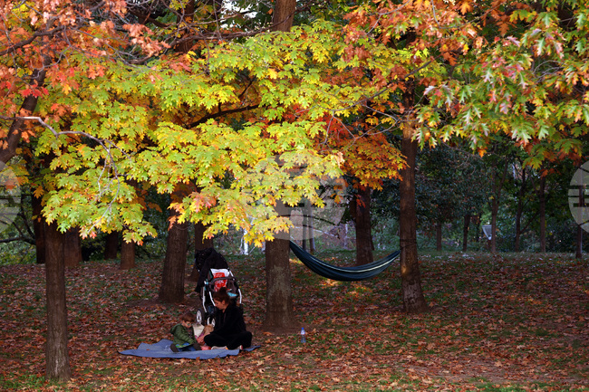 Прогноза за времето