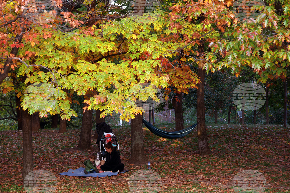 София - есен - ежедневие