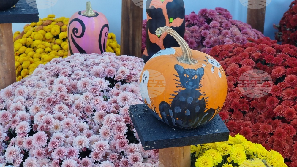 45 Tonnes of Pumpkins Used for Biggest Halloween Festival in Romania