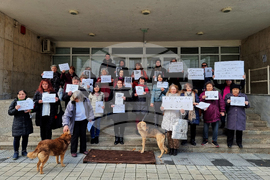 Ловеч - Протест срещу насилието над животни