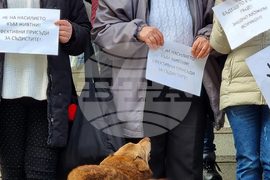 Ловеч - Протест срещу насилието над животни