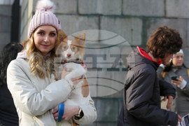 Протест срещу насилието над животни