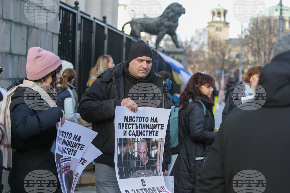 Протест срещу насилието над животни