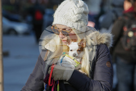 Протест срещу насилието над животни