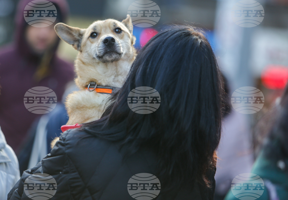 Протест срещу насилието над животни