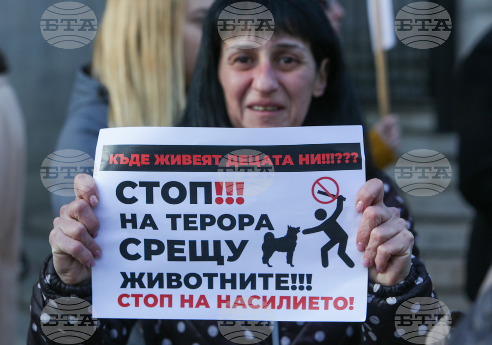 Протест срещу насилието над животни