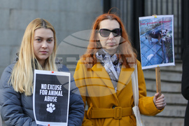 Протест срещу насилието над животни