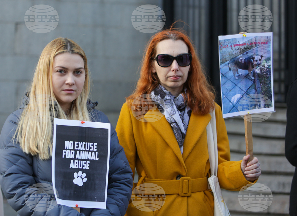 Протест срещу насилието над животни