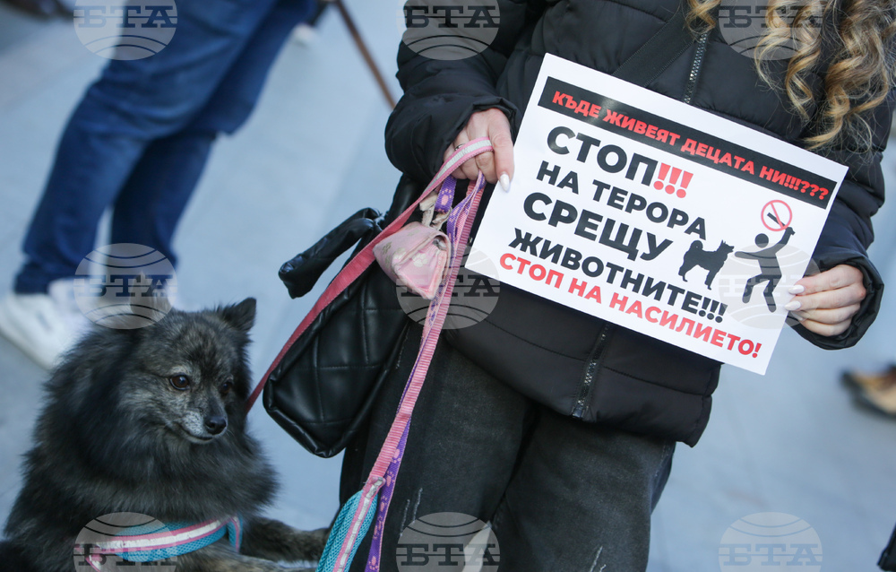 Протест срещу насилието над животни