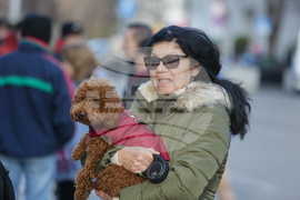 Протест срещу насилието над животни