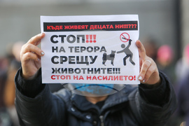 Протест срещу насилието над животни