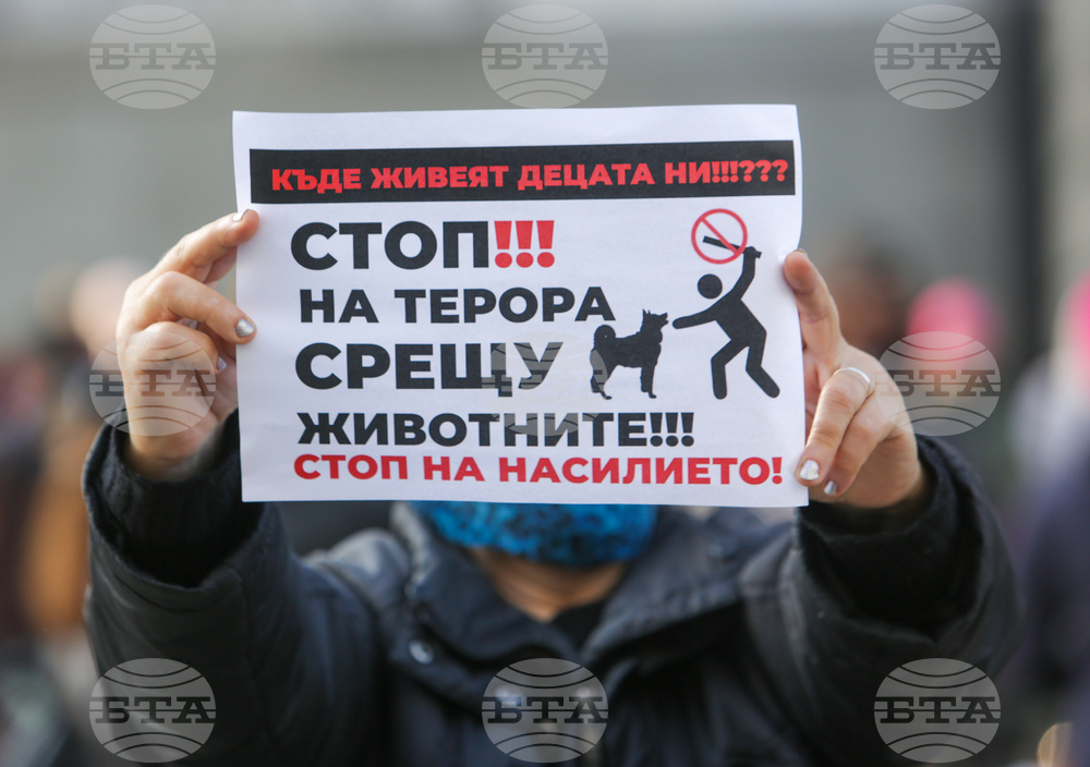 Протест срещу насилието над животни