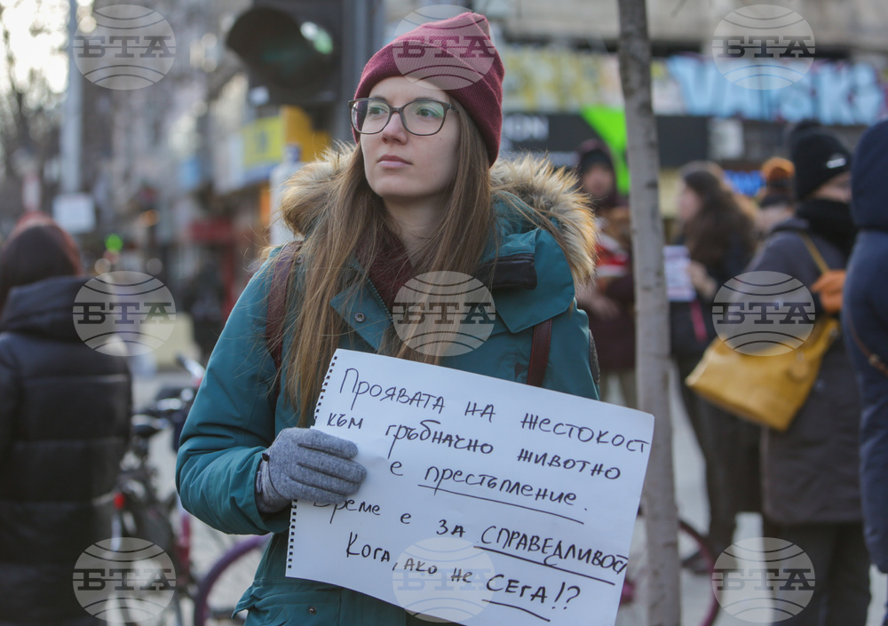 Протест срещу насилието над животни